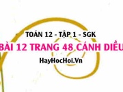 Bài 12 trang 48 Toán 12 tập 1 Cánh Diều